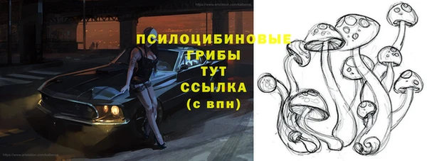 мдпв Киреевск