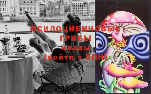 крисы Кинешма