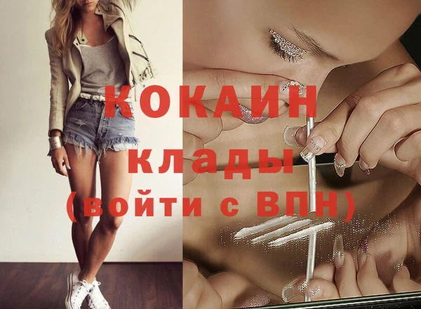 мдпв Киреевск