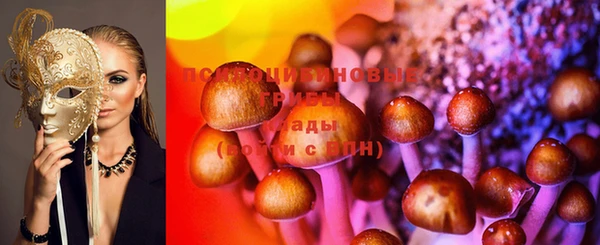 крисы Кинешма